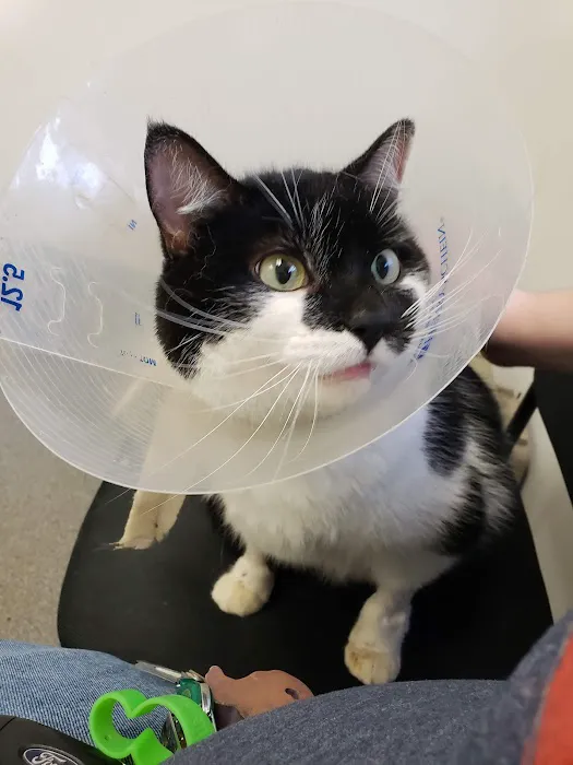 Eastgate Animal Hospital Picture 8