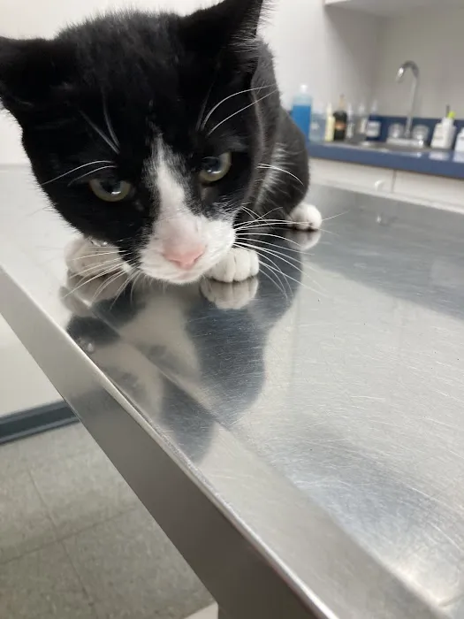 Mt. Orab Veterinary Clinc Picture 6