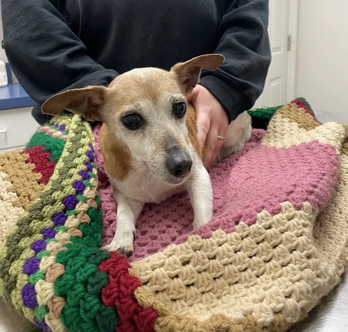 Mt. Orab Veterinary Clinc Picture 8