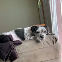 Mt. Orab Veterinary Clinc ico