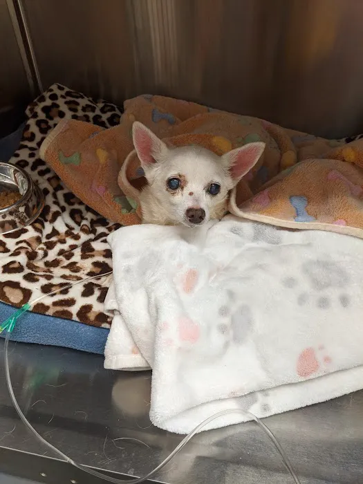 Mt. Orab Veterinary Clinc Picture 4