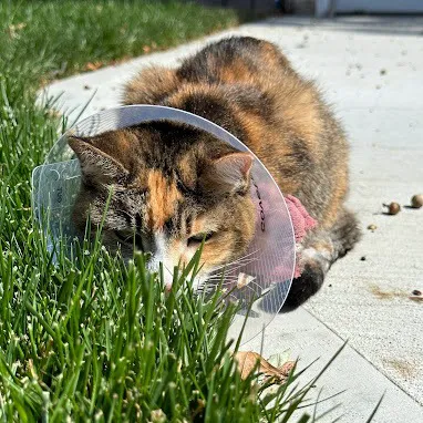 Red Bank Veterinary Hospital Picture 1