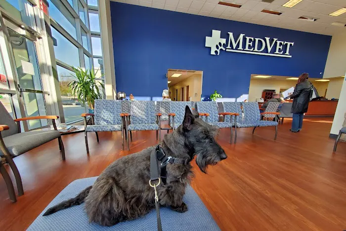 MedVet Cincinnati Picture 4