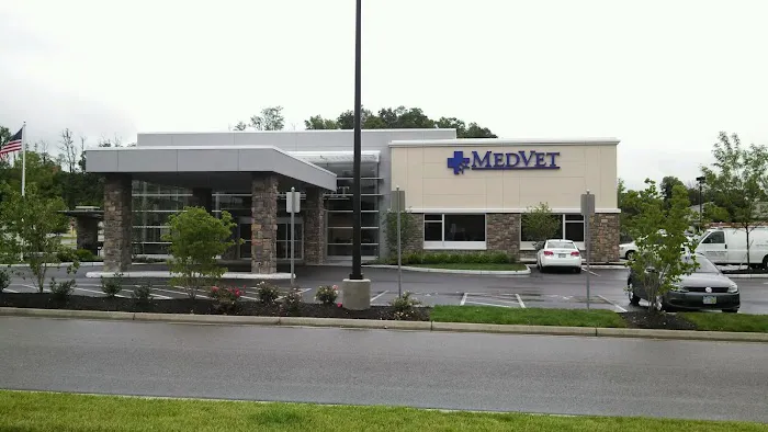 MedVet Cincinnati Picture 10