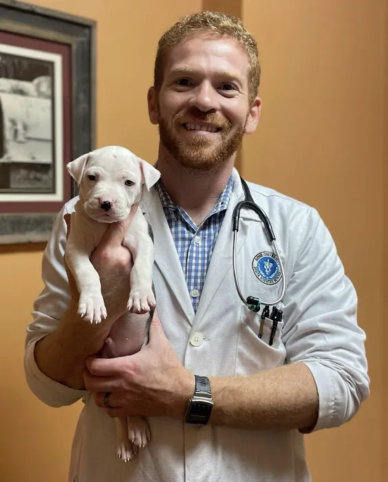 Mariemont Veterinary Clinic Picture 9