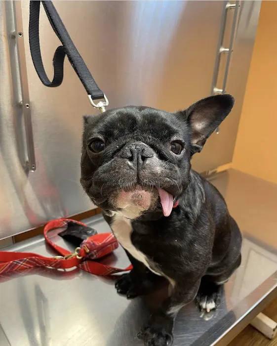 Mariemont Veterinary Clinic Picture 4