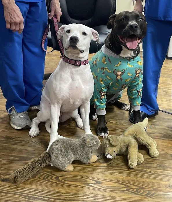 Mariemont Veterinary Clinic Picture 10
