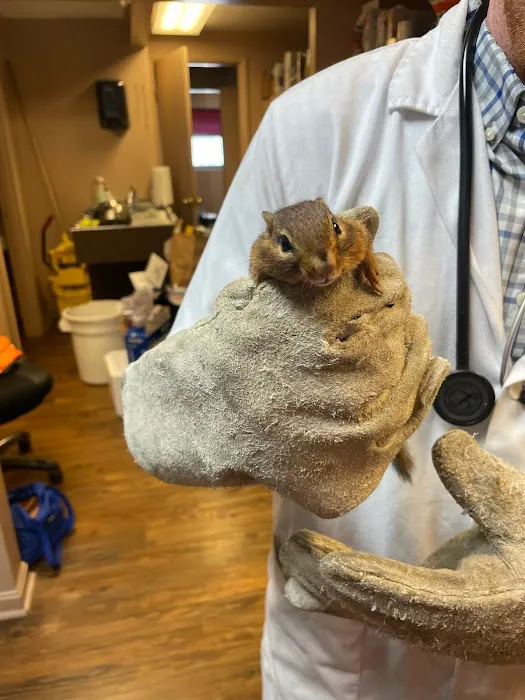 Mariemont Veterinary Clinic Picture 3