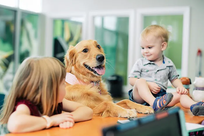 PetVet365 Pet Hospital Cincinnati/Hyde Park Picture 4