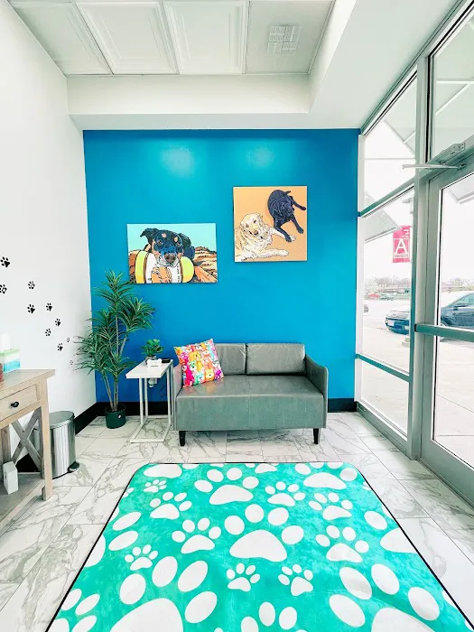 PetVet365 Pet Hospital Cincinnati/Hyde Park Picture 6