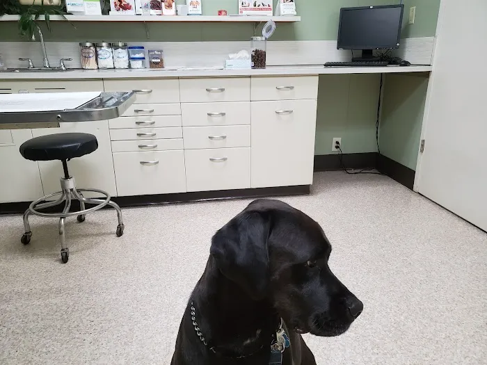 Tennessee Avenue Animal Hospital Picture 1