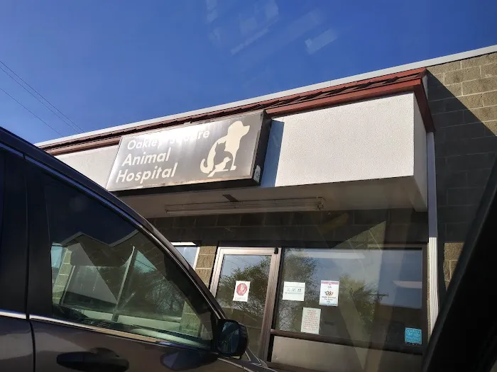 Oakley Square Animal Hospital Picture 6