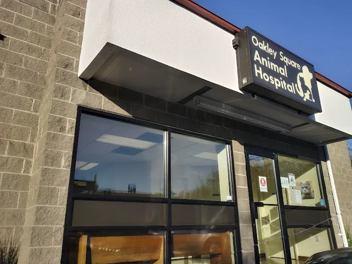 Oakley Square Animal Hospital Picture 9