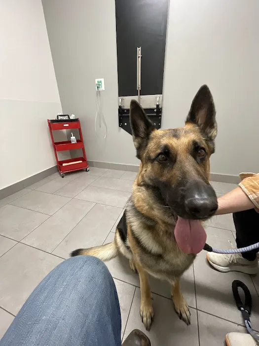 Veterinary Emergency Group Picture 9