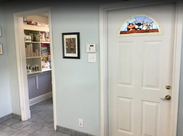 Carey Animal Hospital Picture 3