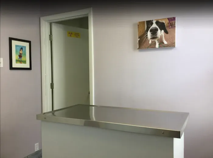 Carey Animal Hospital Picture 6