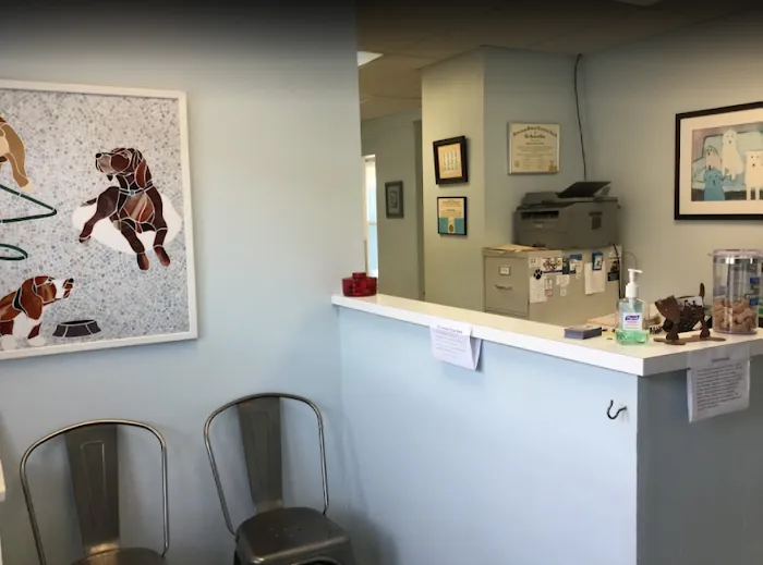 Carey Animal Hospital Picture 7