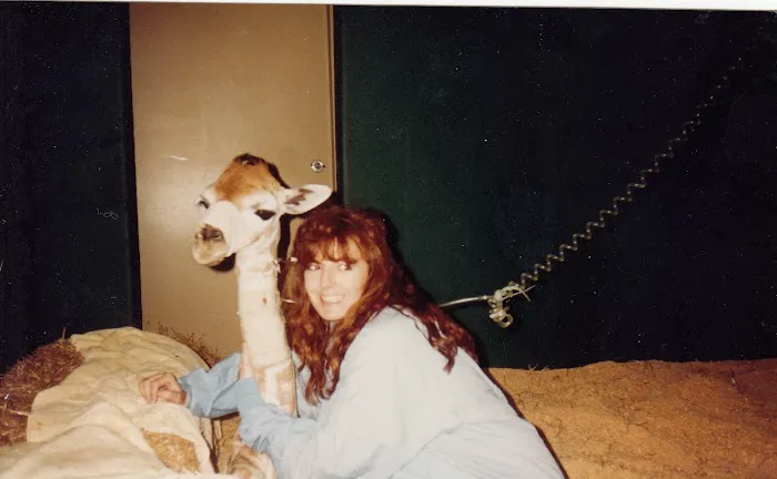 All Creatures Great & Small Animal Hospital Picture 4