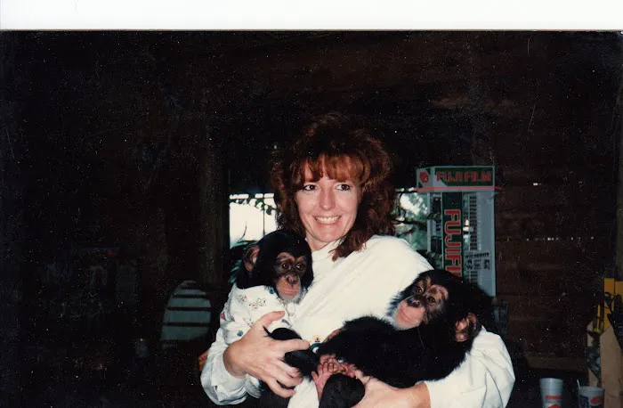 All Creatures Great & Small Animal Hospital Picture 5