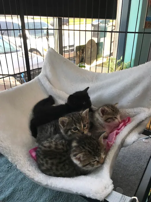 Eastland Animal Clinic Picture 5