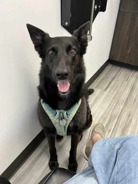 Bluegrass Veterinary Specialists + Animal Emergency Picture 8