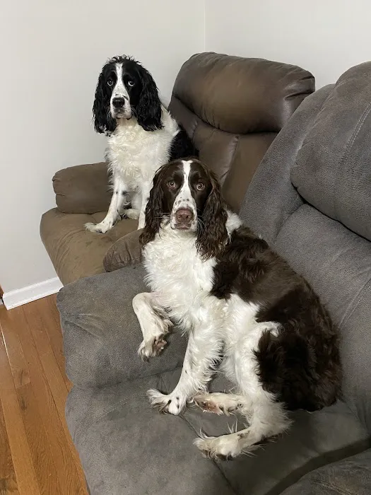 Bluegrass Veterinary Specialists + Animal Emergency Picture 10