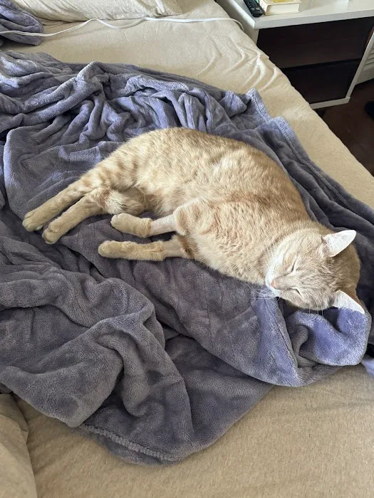 Bluegrass Veterinary Specialists + Animal Emergency Picture 7