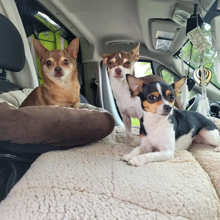 Bluegrass Veterinary Specialists + Animal Emergency Picture 9