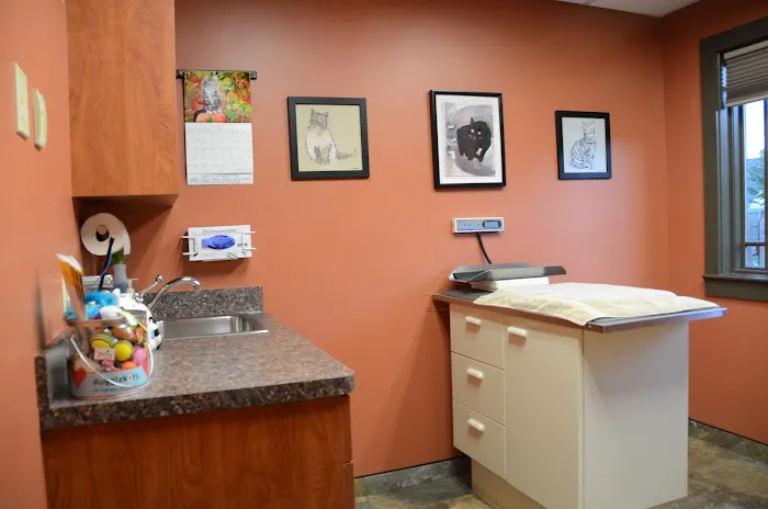 Brighton Animal Clinic Picture 2