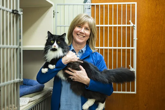 Brighton Animal Clinic Picture 7