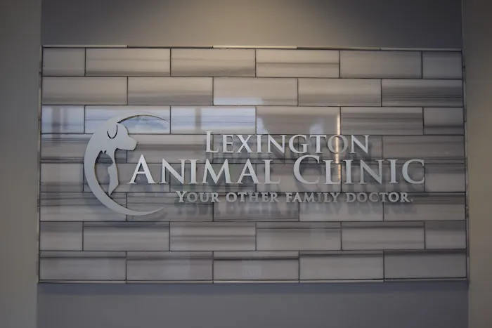 Lexington Animal Clinic Picture 5