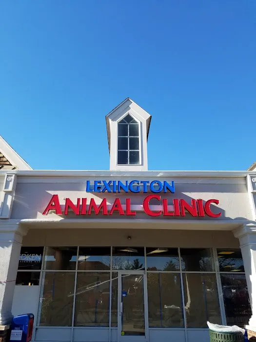 Lexington Animal Clinic Picture 10