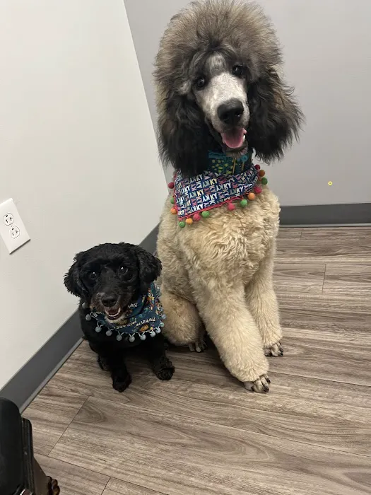 Lexington Animal Clinic Picture 8