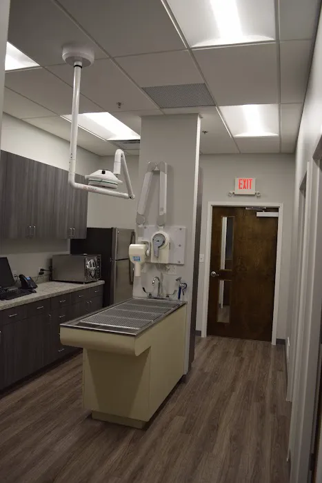 Lexington Animal Clinic Picture 1