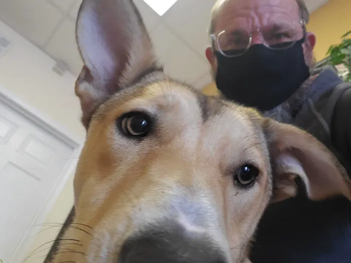 Town & Country Animal Clinic Picture 8