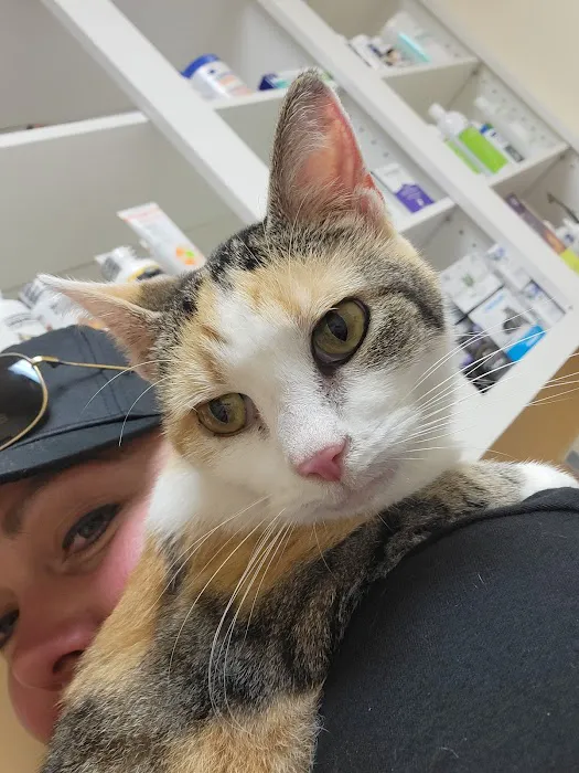 Town & Country Animal Clinic Picture 2