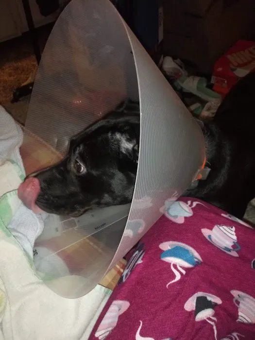 Happy Paws Spay/Neuter Clinic Picture 9