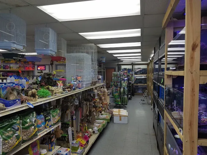 Pet Paradise II Picture 2