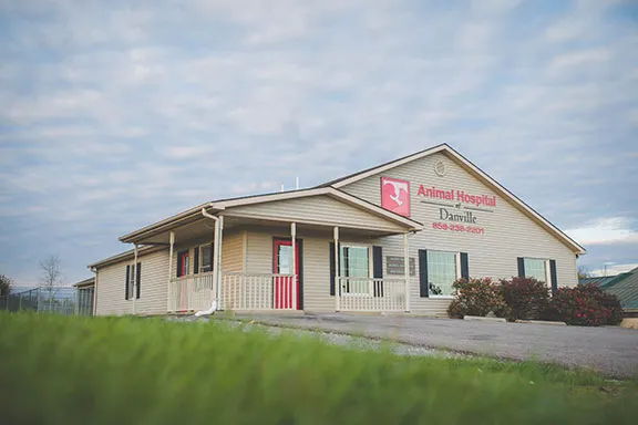 Animal Hospital of Danville Picture 8