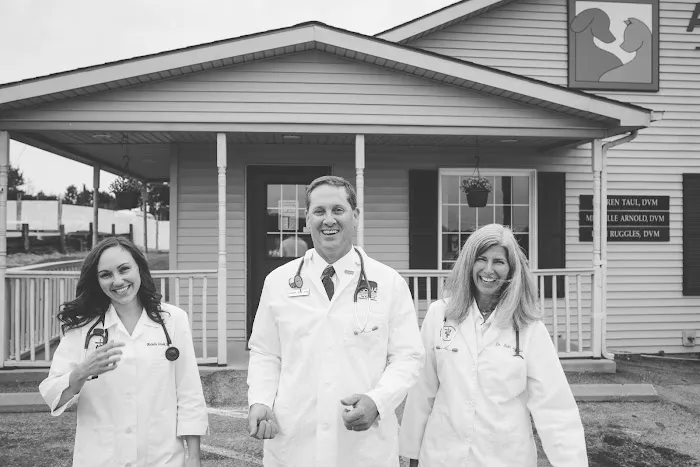 Animal Hospital of Danville Picture 4