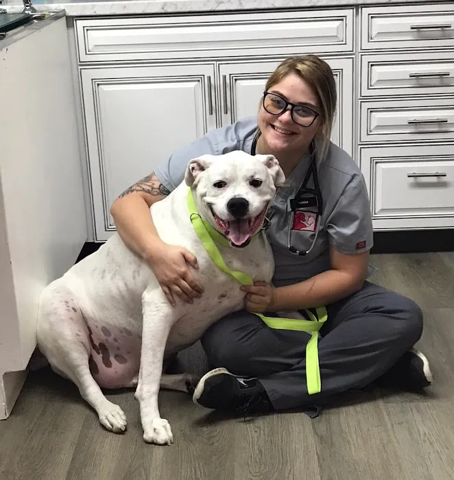 Animal Hospital of Danville Picture 2