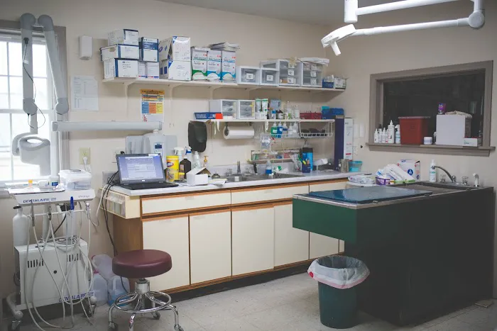 Animal Hospital of Danville Picture 7