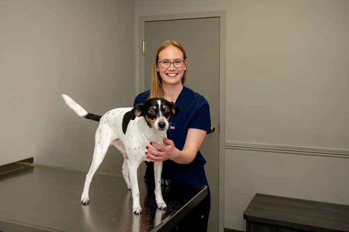 Tates Creek Animal Hospital Picture 9