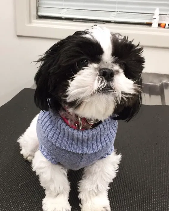 Tates Creek Animal Hospital Picture 10