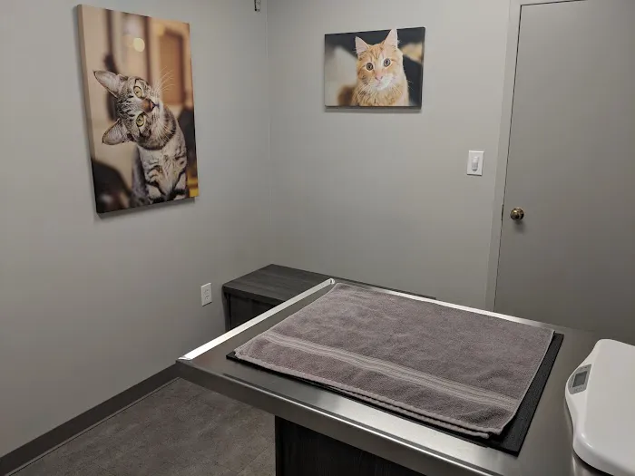 Tates Creek Animal Hospital Picture 7