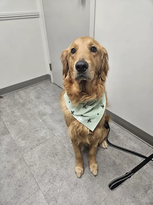 Tates Creek Animal Hospital Picture 2
