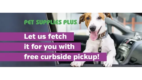 Pet Supplies Plus Lexington Picture 6