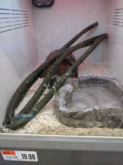 Pet Supplies Plus Lexington Picture 5