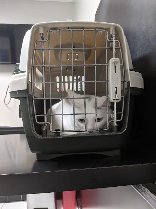 Gainesway Small Animal Clinic Picture 6