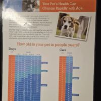 Gainesway Small Animal Clinic ico